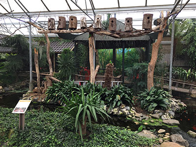 Orchideeënhoeve Luttelgeest